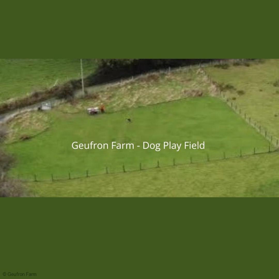 Вілла The Barn At Geufron Farm - Dog Friendly - Nr Tywyn Bryn-crug Екстер'єр фото